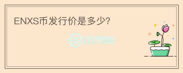 ENXS幣發(fā)行價是多少？
