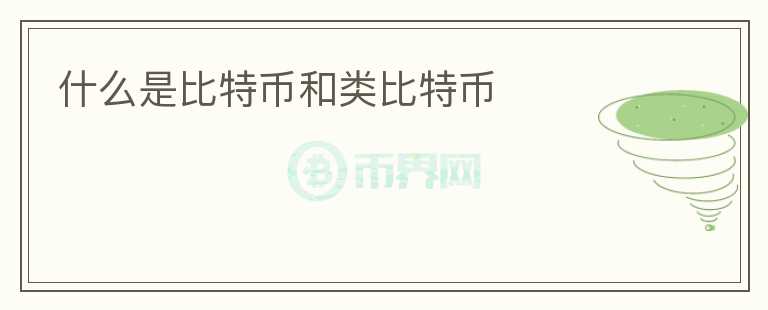 什么是比特幣和類比特幣