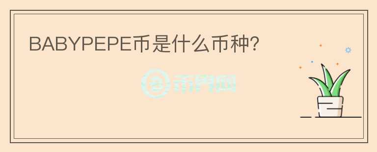 BABYPEPE幣是什么幣種？