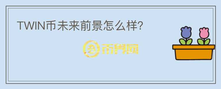 TWIN幣未來前景怎么樣？
