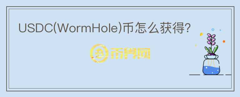 USDC(WormHole)幣怎么獲得？