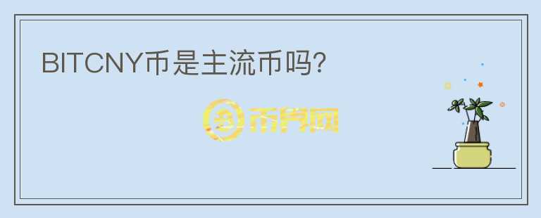 BITCNY幣是主流幣嗎？