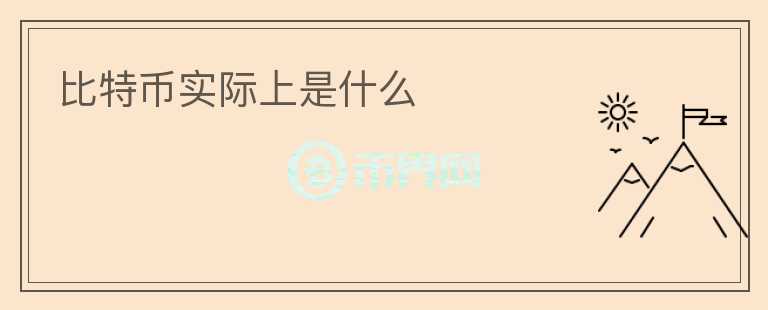比特幣實(shí)際上是什么