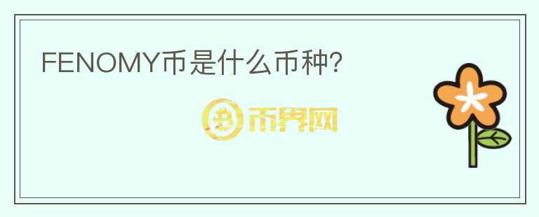 FENOMY幣是什么幣種？