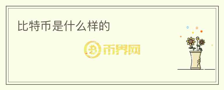 比特幣是什么樣的