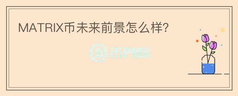 MATRIX幣未來前景怎么樣？