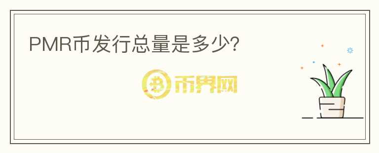 PMR幣發(fā)行總量是多少？