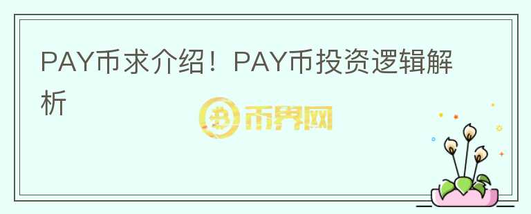 PAY幣求介紹！PAY幣投資邏輯解析
