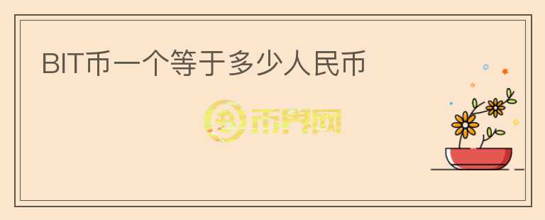 BIT幣一個(gè)等于多少人民幣