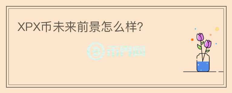 XPX幣未來(lái)前景怎么樣？