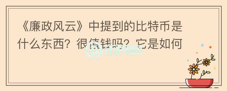 《廉政風(fēng)云》中提到的比特幣是什么東西？很值錢嗎？它是如何變現(xiàn)的？