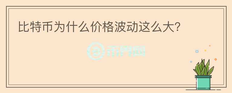 比特幣為什么價格波動這么大？