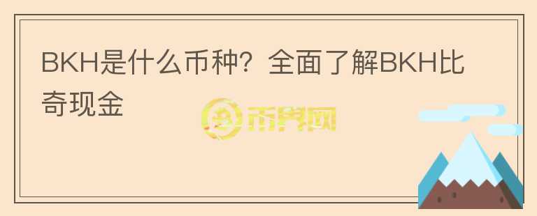 BKH是什么幣種？全面了解BKH比奇現(xiàn)金