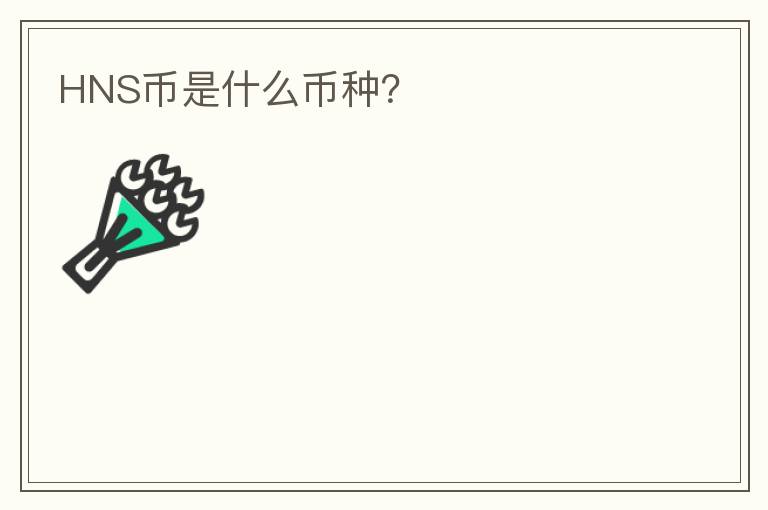 HNS幣是什么幣種？