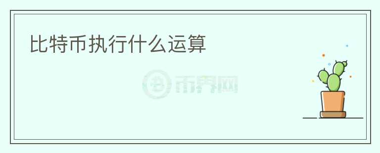 比特幣執(zhí)行什么運(yùn)算