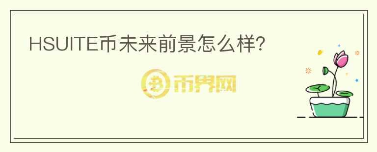 HSUITE幣未來前景怎么樣？