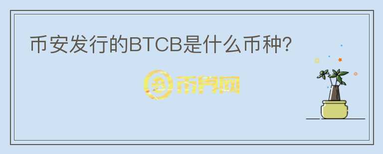 幣安發(fā)行的BTCB是什么幣種？