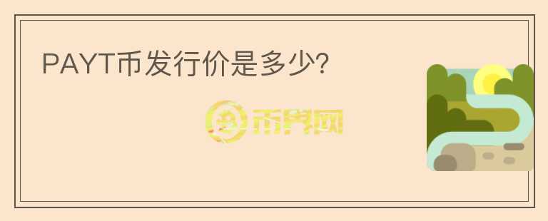 PAYT幣發(fā)行價是多少？
