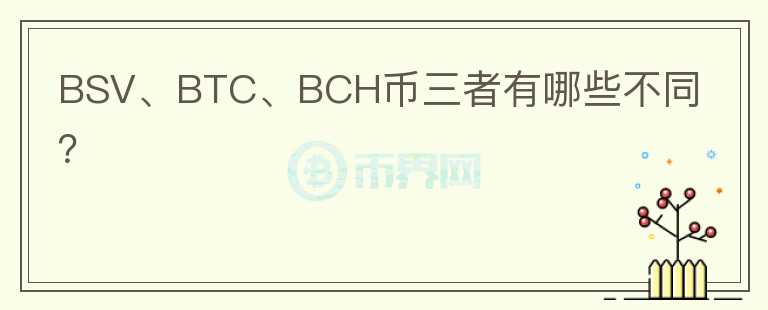 BSV、BTC、BCH幣三者有哪些不同？