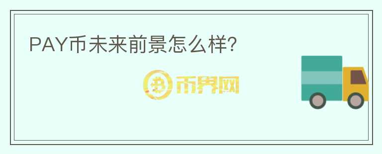 PAY幣未來前景怎么樣？
