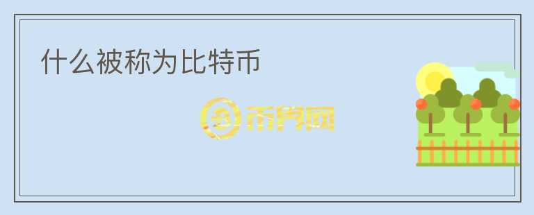 什么被稱為比特幣