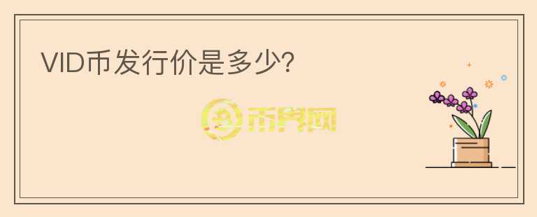 VID幣發(fā)行價是多少？