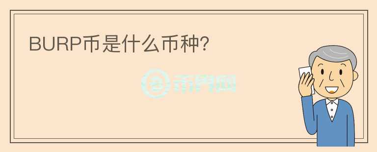 BURP幣是什么幣種？