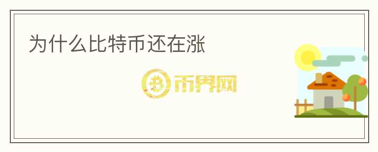 為什么比特幣還在漲