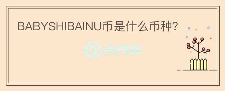 BABYSHIBAINU幣是什么幣種？