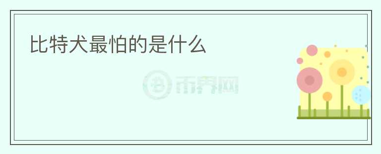 比特犬最怕的是什么
