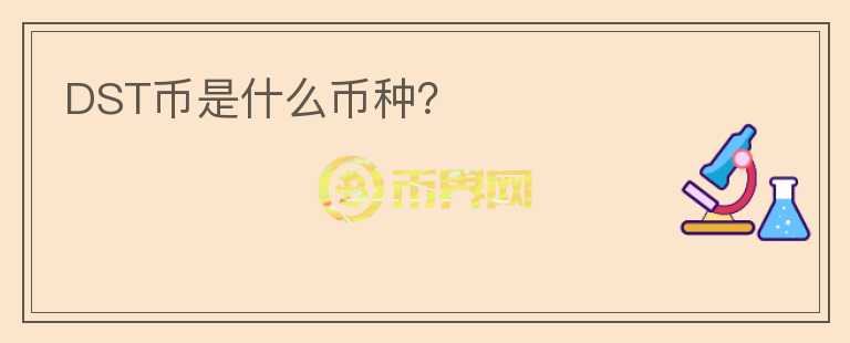 DST幣是什么幣種？