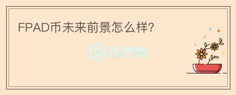 FPAD幣未來前景怎么樣？