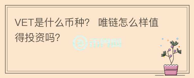 VET是什么幣種？ 唯鏈怎么樣值得投資嗎？