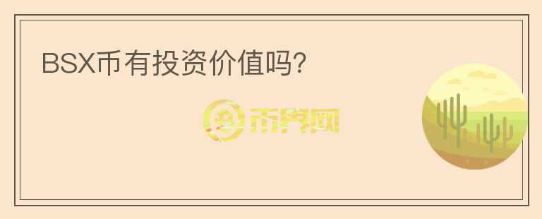 BSX幣有投資價值嗎？