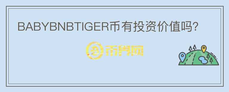 BABYBNBTIGER幣有投資價值嗎？