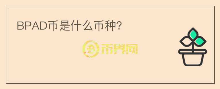 BPAD幣是什么幣種？