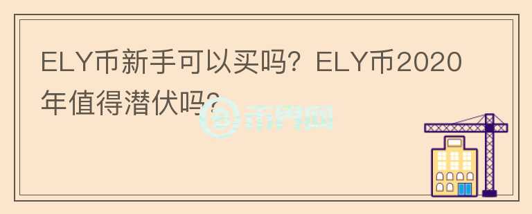 ELY幣新手可以買嗎？ELY幣2020年值得潛伏嗎？