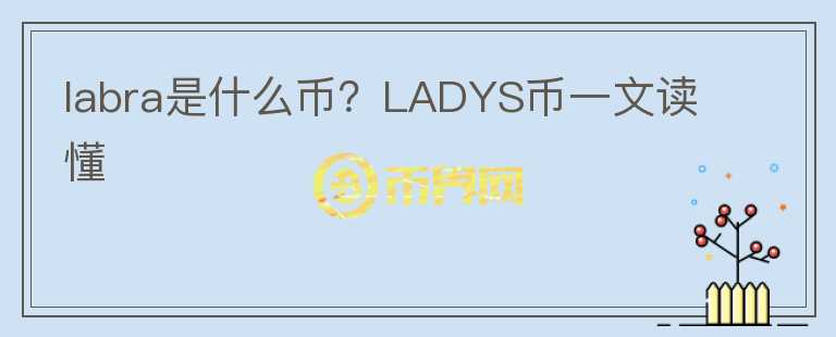 labra是什么幣？LADYS幣一文讀懂