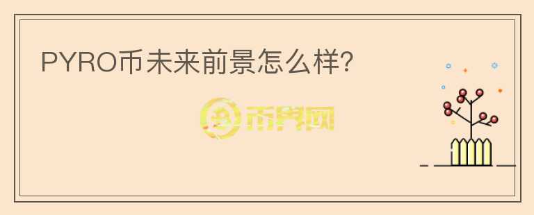 PYRO幣未來前景怎么樣？
