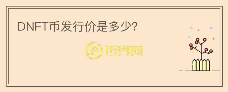 DNFT幣發(fā)行價是多少？