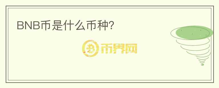 BNB幣是什么幣種？