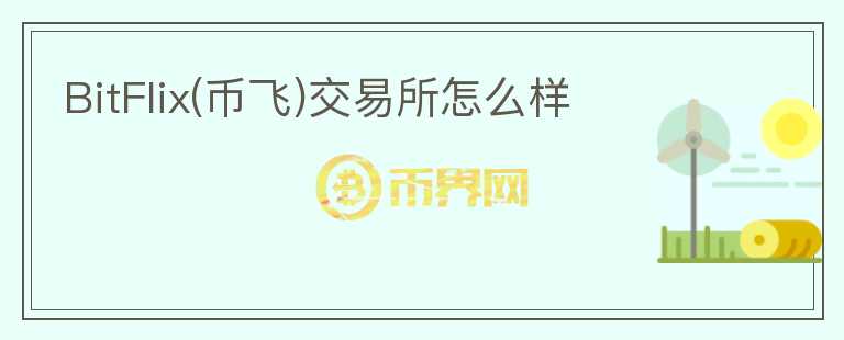 BitFlix(幣飛)交易所怎么樣