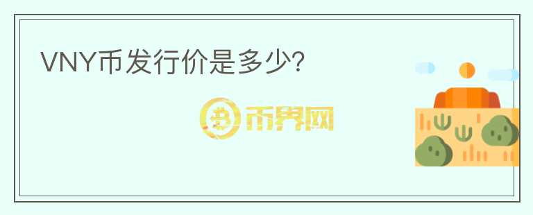 VNY幣發(fā)行價(jià)是多少？
