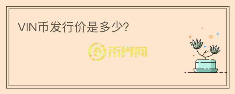 VIN幣發(fā)行價(jià)是多少？