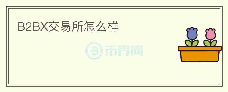 B2BX交易所怎么樣