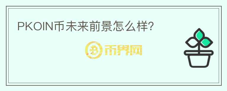 PKOIN幣未來(lái)前景怎么樣？
