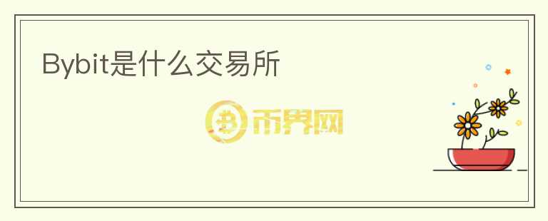 Bybit是什么交易所