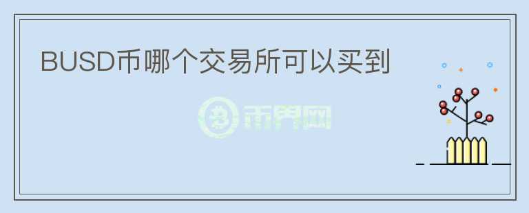 BUSD幣哪個(gè)交易所可以買(mǎi)到