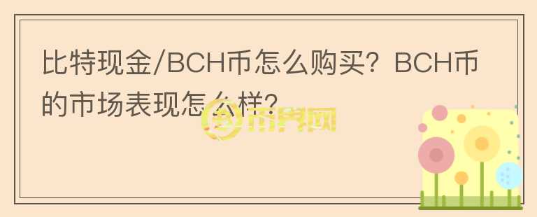 比特現(xiàn)金/BCH幣怎么購買？BCH幣的市場表現(xiàn)怎么樣？