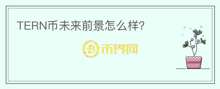 TERN幣未來前景怎么樣？